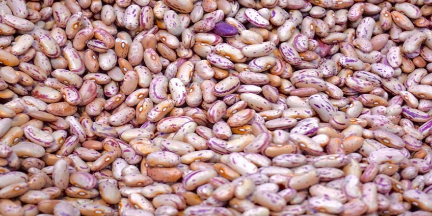 Foods To Add And Avoid To Boost Your Immune System