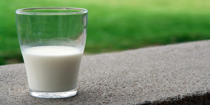 How Probiotics Help Improve Your Immune System